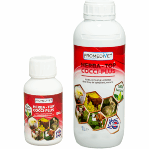 Coccidiocis en Gallinas