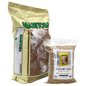 Alpiste Manitoba Canada Extra para Canarios y Aves – Venta a Granel 1 kg