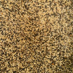 Mixtura Pardillo a Granel 1 kg para Pájaros