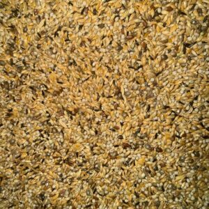 Mixtura Turbo a Granel 1 kg para Pájaros